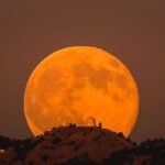 Shoot for the Moon: 10 Wild Moves to Actually Make 2025 Better