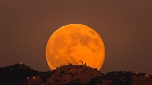 Shoot for the Moon: 10 Wild Moves to Actually Make 2025 Better