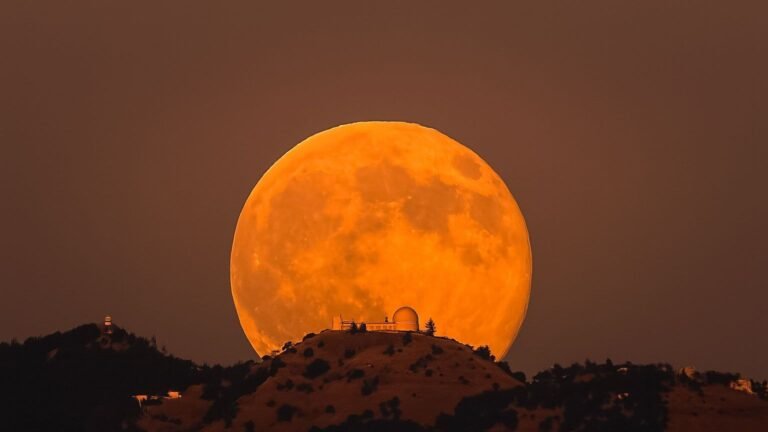Shoot for the Moon: 10 Wild Moves to Actually Make 2025 Better